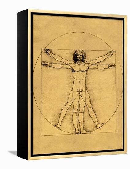 Proportions of the Human Figure-Leonardo da Vinci-Framed Premier Image Canvas