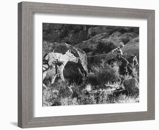 Prospector Travis Marlowe Continuing His Search in Superstition Mountains of Southern Arizona-Bill Ray-Framed Photographic Print