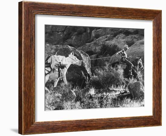 Prospector Travis Marlowe Continuing His Search in Superstition Mountains of Southern Arizona-Bill Ray-Framed Photographic Print