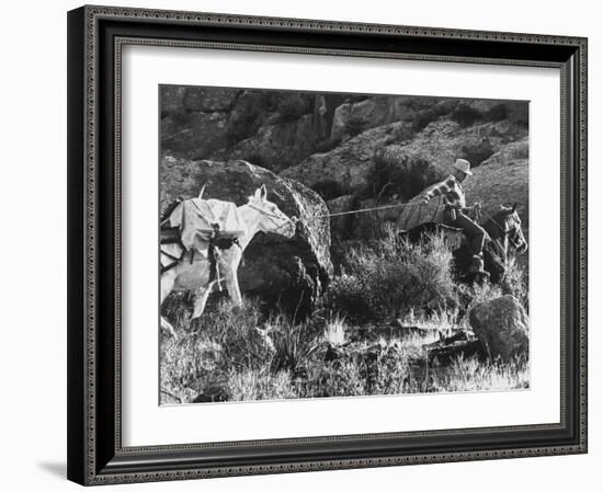 Prospector Travis Marlowe Continuing His Search in Superstition Mountains of Southern Arizona-Bill Ray-Framed Photographic Print