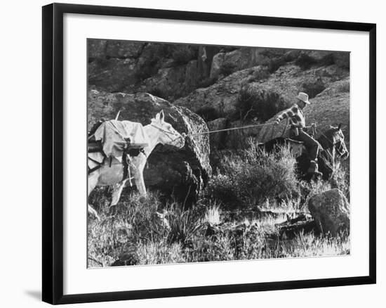 Prospector Travis Marlowe Continuing His Search in Superstition Mountains of Southern Arizona-Bill Ray-Framed Photographic Print