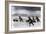 Prospectors' Dogsled in a Snowstorm to Get to the Klondike Goldfields, 1898-null-Framed Giclee Print