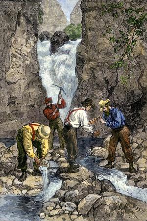 California Gold Rush Art Prints | Art.com