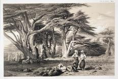 The Cedars of Lebanon-Prosper Georges Antoine Marilhat-Framed Giclee Print