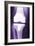 Prosthetic Knee, X-ray-Miriam Maslo-Framed Photographic Print