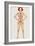 Prosthetic Woman: Artwork of Artificial Implants-John Bavosi-Framed Photographic Print