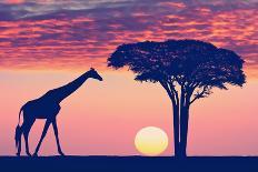 Silhouettes of Giraffe and Acacia Tree against the Beautiful Sunset Sky in the Serengeti Park. Tanz-Protasov AN-Framed Photographic Print