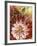 Protea Flower, Maui, Hawaii, USA-Darrell Gulin-Framed Photographic Print