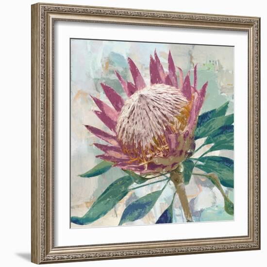 Protea King-Tania Bello-Framed Giclee Print