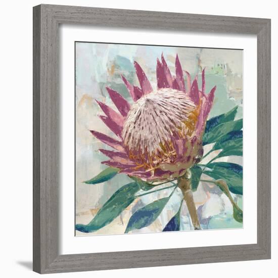 Protea King-Tania Bello-Framed Giclee Print