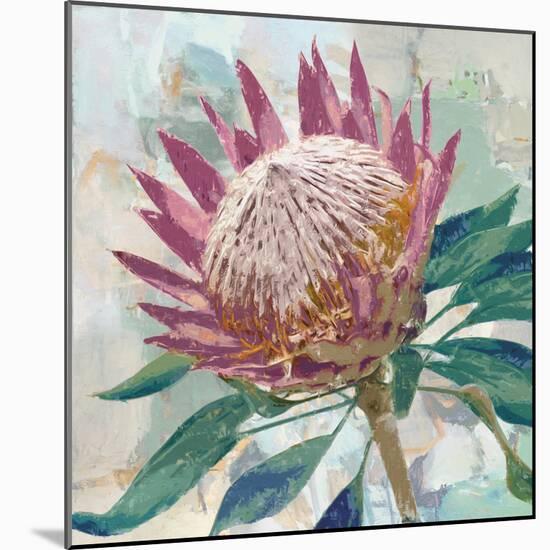 Protea King-Tania Bello-Mounted Giclee Print