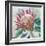 Protea King-Tania Bello-Framed Giclee Print