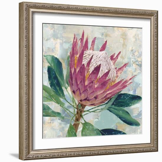 Protea Majestic-Tania Bello-Framed Giclee Print