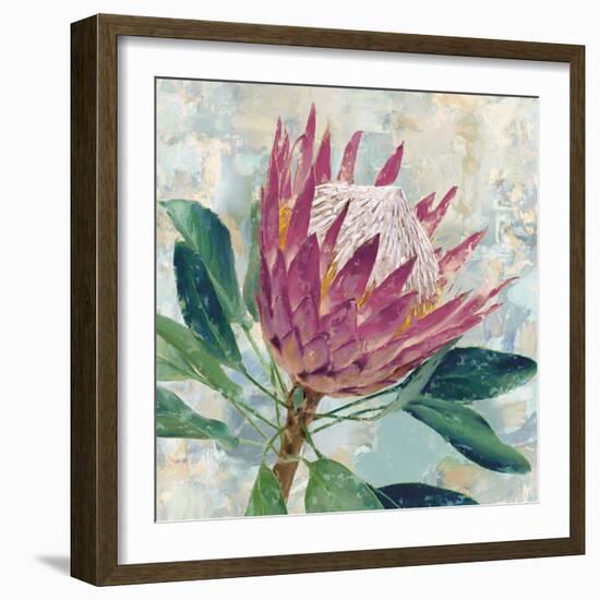 Protea Majestic-Tania Bello-Framed Giclee Print