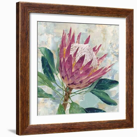 Protea Majestic-Tania Bello-Framed Giclee Print