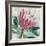 Protea Majestic-Tania Bello-Framed Giclee Print