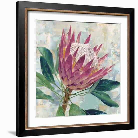 Protea Majestic-Tania Bello-Framed Giclee Print