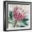 Protea Majestic-Tania Bello-Framed Giclee Print