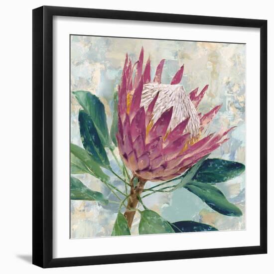 Protea Majestic-Tania Bello-Framed Giclee Print