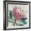 Protea Majestic-Tania Bello-Framed Giclee Print