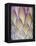 Protea, Maui, Hawaii, USA-Darrell Gulin-Framed Premier Image Canvas