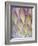 Protea, Maui, Hawaii, USA-Darrell Gulin-Framed Photographic Print