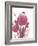 Protea Posy-Larisa Hernandez-Framed Giclee Print