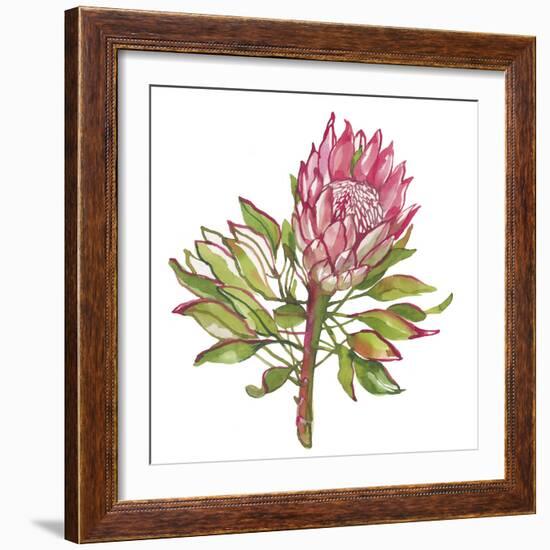 Protea Solitaire-Sandra Jacobs-Framed Giclee Print