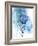 Protea Wash - Blue-Paula Mills-Framed Giclee Print