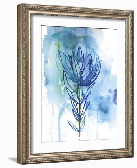 Protea Wash - Blue-Paula Mills-Framed Giclee Print