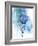 Protea Wash - Blue-Paula Mills-Framed Giclee Print