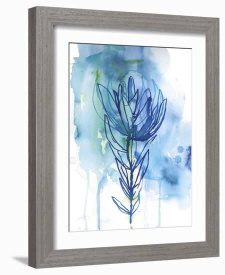 Protea Wash - Blue-Paula Mills-Framed Giclee Print