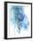 Protea Wash - Blue-Paula Mills-Framed Giclee Print