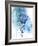 Protea Wash - Blue-Paula Mills-Framed Giclee Print