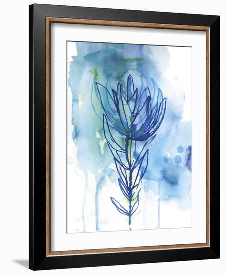 Protea Wash - Blue-Paula Mills-Framed Giclee Print