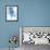 Protea Wash - Blue-Paula Mills-Framed Giclee Print displayed on a wall
