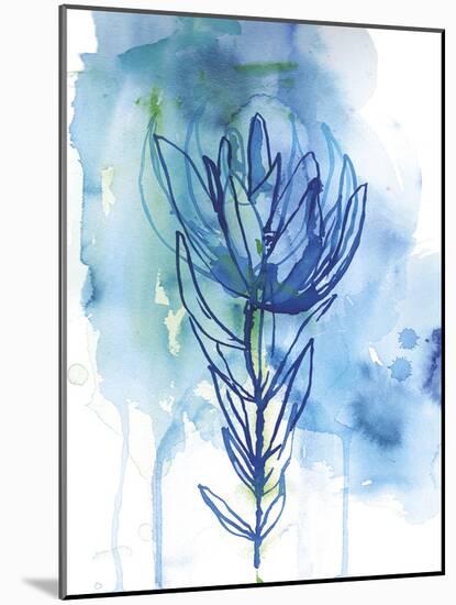 Protea Wash - Blue-Paula Mills-Mounted Giclee Print