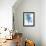 Protea Wash - Blue-Paula Mills-Framed Giclee Print displayed on a wall