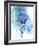 Protea Wash - Blue-Paula Mills-Framed Giclee Print