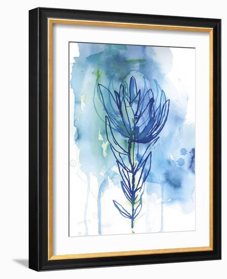 Protea Wash - Blue-Paula Mills-Framed Giclee Print