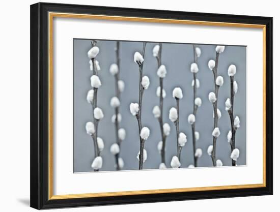 Protected-Assaf Frank-Framed Giclee Print