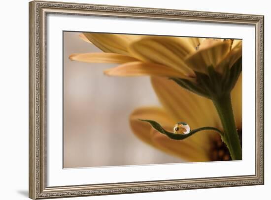 Protected-Heidi Westum-Framed Giclee Print