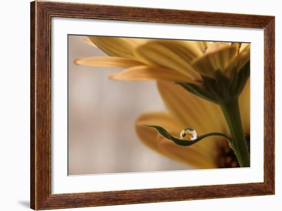 Protected-Heidi Westum-Framed Giclee Print