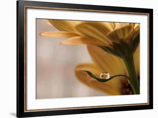 Protected-Heidi Westum-Framed Giclee Print