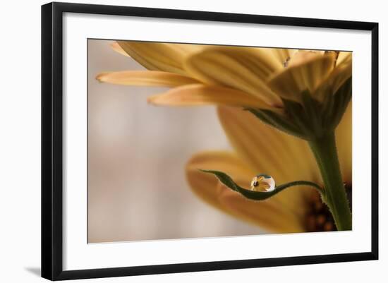 Protected-Heidi Westum-Framed Giclee Print