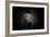 Protected-Antje Wenner-Framed Photographic Print