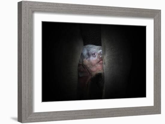 Protected-Antje Wenner-Framed Photographic Print