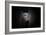 Protected-Antje Wenner-Framed Photographic Print