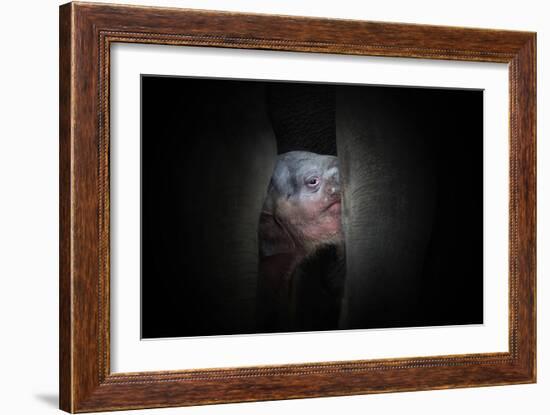 Protected-Antje Wenner-Framed Photographic Print