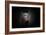 Protected-Antje Wenner-Framed Photographic Print